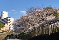 大和教育学院-近所風景